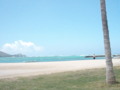 Hawaii Beaches 1