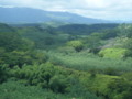 Mt. Waialeale - Kauai