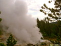 Steamboat Geyser at Yellowstone National Park