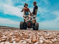 "Entiendo que durante tanto tiempo se haya hablado de medias naranjas, destino y plenitud. Entiendo esa sensación desenfrenada que te hace decir que una persona es el amor de tu vida, y que nada tiene sentido si la llegáramos a perder. Lo entiendo porque el amor es muchas veces así, un ilusionista que te lleva al paraíso estés donde estés en realidad. Adorna, perfuma, disfraza.  Pero he tenido la suerte también de conocer este amor calmado. Este amor que huele a leña y a vino. El amor que se lee familia, que arropa con sábanas de vida y tiempo, tiempo y vida. No es que mi corazón esté ahora completo, es que se ha convertido en un hogar donde llevarte siempre (y se parece mucho más al paraíso)."💕  @dannboknegra