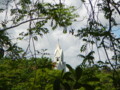 Our Lady of Mercy Parish Church/Ina ng Awa Parish Church