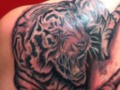 Tiger Shoulder Tattoo