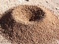 Huge Ant Pile