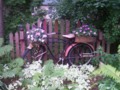 Bicycle Planter